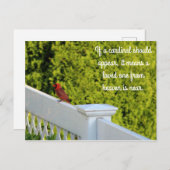 Cardinal Briefkaart (Voorkant / Achterkant)