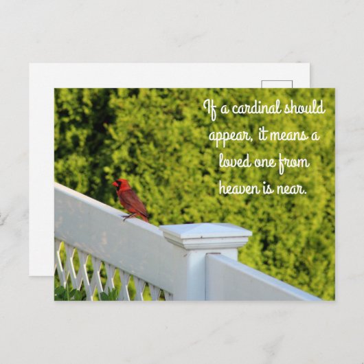 Cardinal Briefkaart (Voorkant / Achterkant)