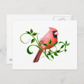 Cardinal Briefkaart (Voorkant / Achterkant)