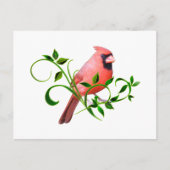 Cardinal Briefkaart (Voorkant)