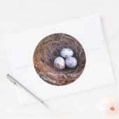 Cardinal Eggs Sticker (Envelop)