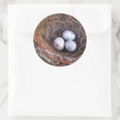 Cardinal Eggs Sticker (Tas)