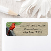 CARDINAL ETIKET (Insitu)