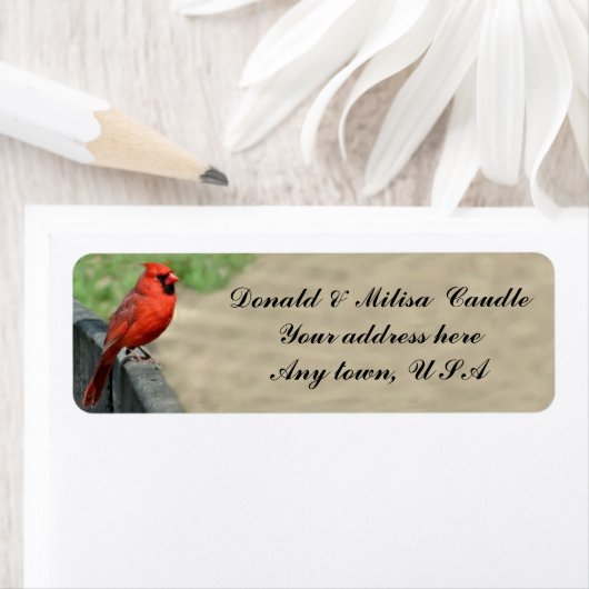 CARDINAL ETIKET (Insitu)