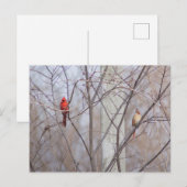 Cardinal family briefkaart (Voorkant / Achterkant)