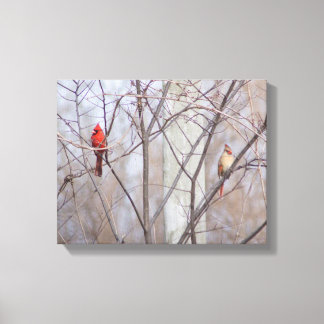 Cardinal family canvas afdruk