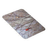 Cardinal family magneet (Rechterzijde)