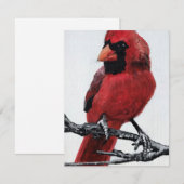 Cardinal  feestdagenkaart (Voorkant / Achterkant)