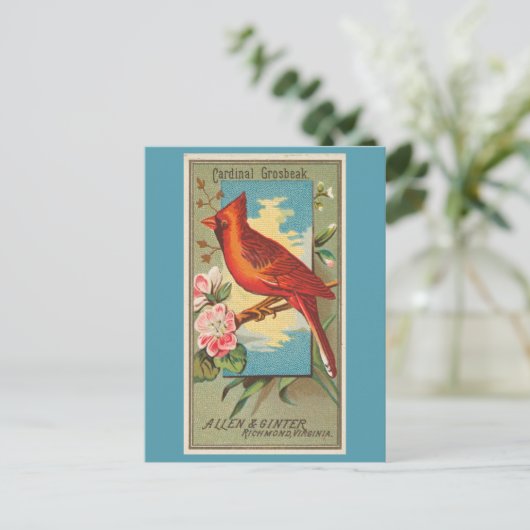 Cardinal Grosbeak Briefkaart (Staand voorkant)