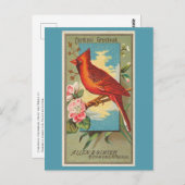 Cardinal Grosbeak Briefkaart (Voorkant / Achterkant)