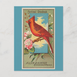 Cardinal Grosbeak Briefkaart