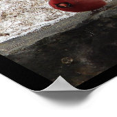 Cardinal Hot Springs Nat. Park Bergposter II Poster (Hoek)