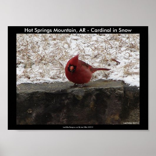 Cardinal Hot Springs Nat. Park Bergposter II Poster (Voorkant)
