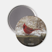 Cardinal Hot Springs Nat. Park Mountain AR Geschen Magneet (Voorkant / Achterkant)