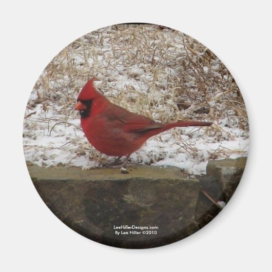 Cardinal Hot Springs Nat. Park Mountain AR Geschen Magneet (Voorkant)