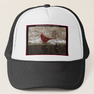 Cardinal Hot Springs Nat. Park Mountain AR Geschen Trucker Pet