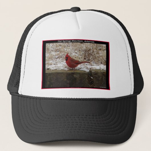 Cardinal Hot Springs Nat. Park Mountain AR Geschen Trucker Pet (Voorkant)