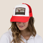 Cardinal Hot Springs Nat. Park Mountain AR Geschen Trucker Pet (In situ)