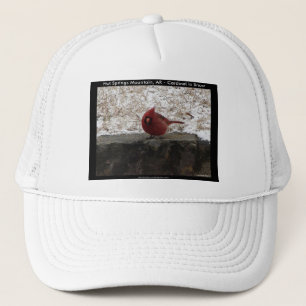Cardinal Hot Springs Nat. Park Mt AR Geschenken Kl Trucker Pet
