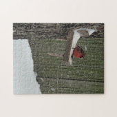 Cardinal in the snow legpuzzel (Horizontaal)