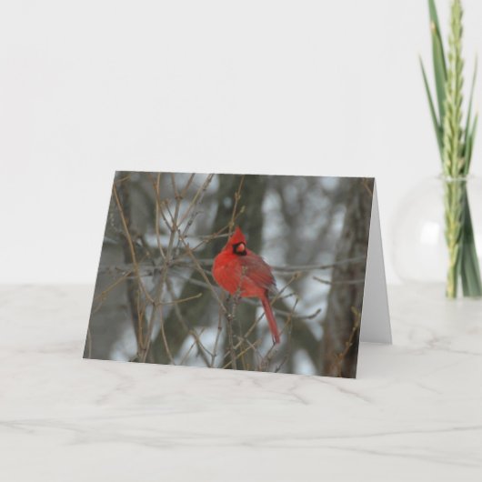 Cardinal Kaart (Voorkant)