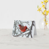 Cardinal Kaart (Gele Bloem)