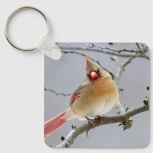 Cardinal_keychain Sleutelhanger (Voorkant)