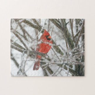 Cardinal Legpuzzel
