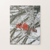 Cardinal Legpuzzel (Verticaal)