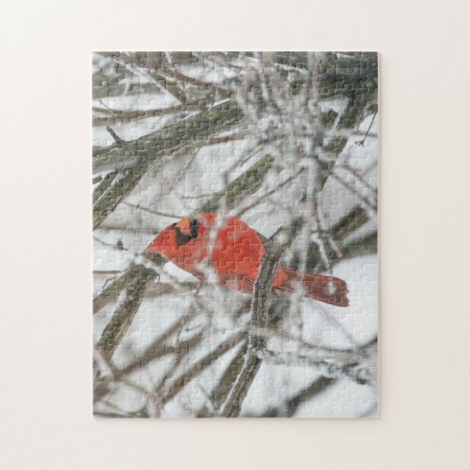Cardinal Legpuzzel (Verticaal)