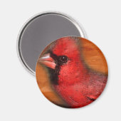 cardinal magneet (Voorkant / Achterkant)