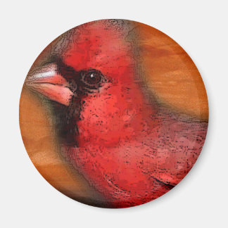 cardinal magneet