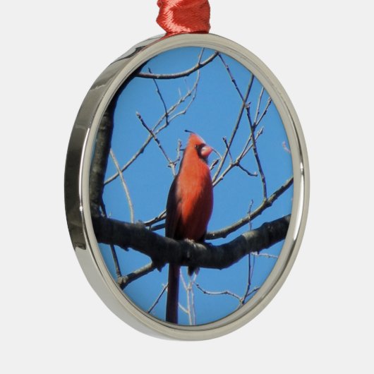 Cardinal Metalen Ornament (Rechts)