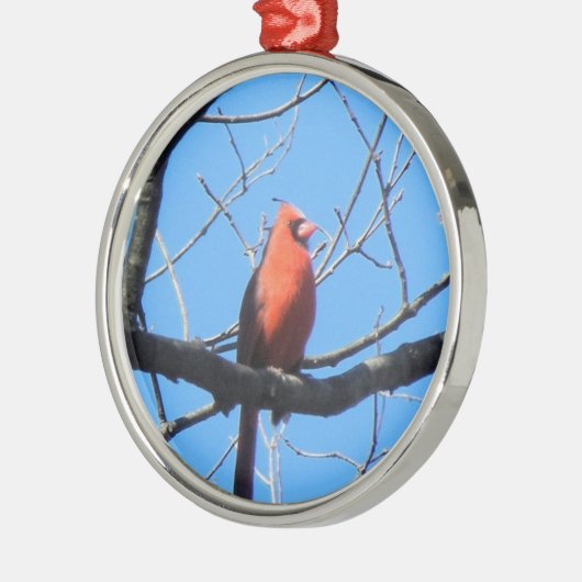 Cardinal Metalen Ornament (Links)