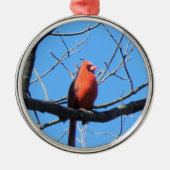 Cardinal Metalen Ornament (Voorkant)