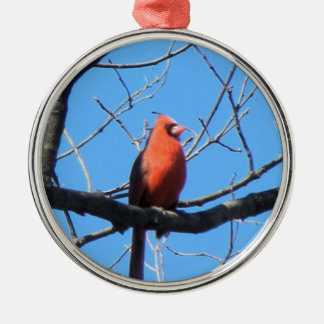 Cardinal Metalen Ornament