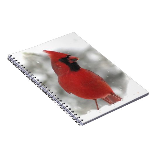 Cardinal Notitieboek (Rechterzijde)