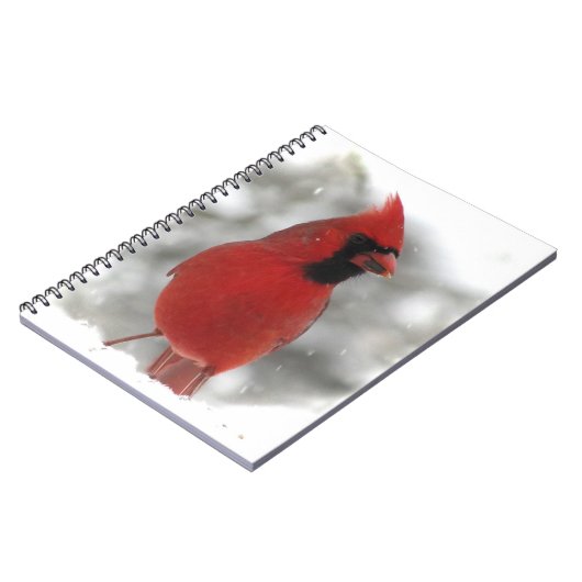 Cardinal Notitieboek (Linkerzijde)