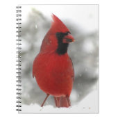 Cardinal Notitieboek (Voorkant)