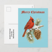 Cardinal On Snowy Pine Tree Christmas Feestdagenkaart (Voorkant / Achterkant)