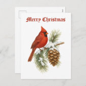 Cardinal On Snowy Pine Tree Christmas Feestdagenkaart (Voorkant / Achterkant)