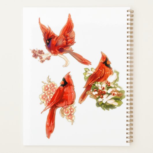 Cardinal Planner (Achterkant)