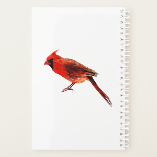 Cardinal Planner (Achterkant)