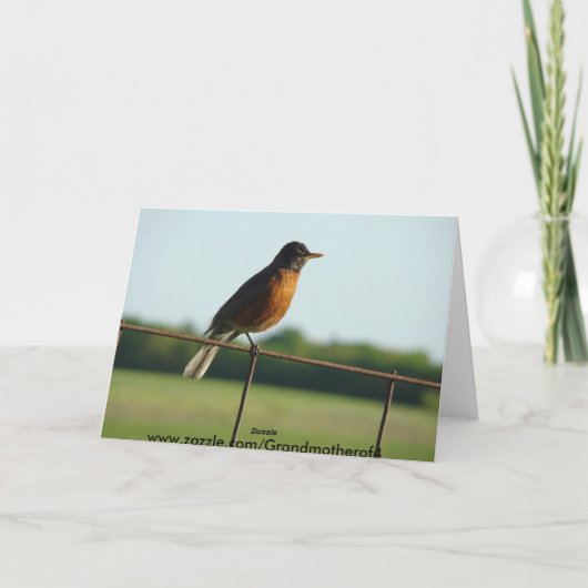 Cardinal/Robin, Joyful Song Kaart (Achterkant)