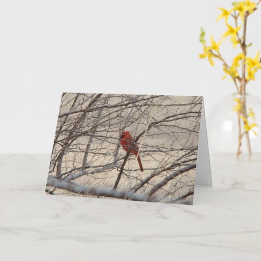 Cardinal/Robin, Joyful Song Kaart (Gele Bloem)