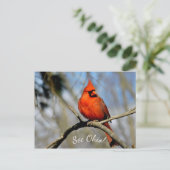 Cardinal (See Ohio) Ansichtkaart Briefkaart (Staand voorkant)
