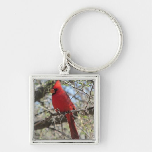 Cardinal Sleutelhanger (Voorkant)