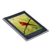 Cardinal Songbird Notebook | Nature Art Journal Notitieboek (Rechterzijde)