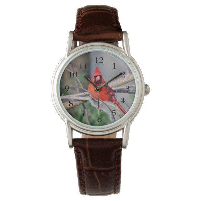 Cardinal Spring Horloge (Voorkant)