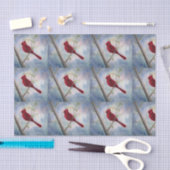 Cardinal Tissuepapier (Craft)